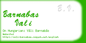 barnabas vali business card