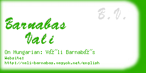 barnabas vali business card